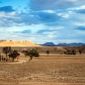 NAM KHO ChaRe 2016NOV22 Campsite 007 : 2016, 2016 - African Adventures, Africa, Campsite, Cha-Re, Date, Khomas, Month, Namibia, November, Places, Southern, Trips, Year